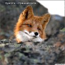 ���� �������, ��������, 38 ��� - ��������� 4 ������� 2015 � ������ ������ ��������