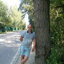  ,  , 44  -  12  2016    