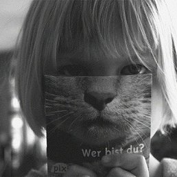 ���� �������, �����-��������� - ��������� 8 ������ 2015