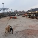 ���� ���������, ������, 64 ���� - ��������� 31 ������ 2016 � ������ ������ ��������