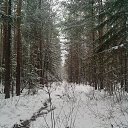 ���� �������, ������������, 37 ��� - ��������� 17 ������� 2015 � ������ ���� ����������