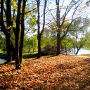 ���� ��������, ������ - ��������� 4 ������� 2015 � ������ ������� - ������� ��������)�