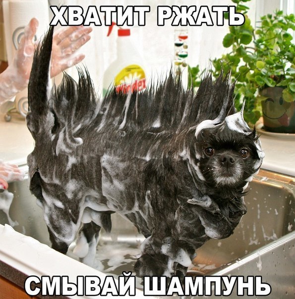    :D - 22  2016  12:08