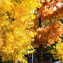 ���� �������, ��������� - ��������� 10 ����� 2016 � ������ ����������� - ��� �����