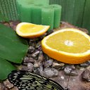 ���� Wyoleta, �������, 51 ��� - ��������� 27 �������� 2015 � ������ �)�