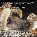 ���� ������ � ����, ������ - ��������� 31 ������ 2016 � ������ ������ ��������