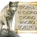 ���� �������, ������ - ��������� 24 ������� 2015 � ������ ���� ����������