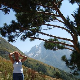 ���� �����, ������������ - ��������� 29 ������� 2016