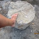  , , 40  -  10  2015    