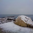  , , 60  -  29  2016     ,23.01.16.