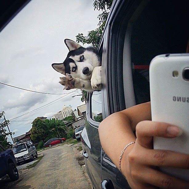    )))!!!!!