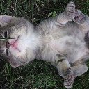 ���� �������, �����������, 46 ��� - ��������� 16 ������� 2015