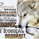 ���� ���������, ��������� - ��������� 30 ������� 2015 � ������ ������ ��������