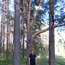 ���� ���������, �����-���������, 62 ���� - ��������� 23 ������ 2016