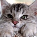 ���� Alekcandr, ������ - ��������� 29 ������ 2016 � ������ ���� ����������