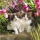 ���� ���������, ��������, 58 ��� - ��������� 8 ������ 2016 � ������ ���������