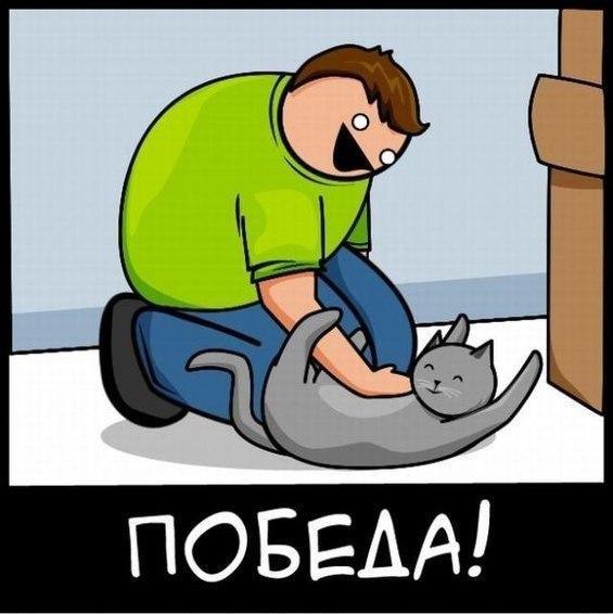    :D - 3  2015  12:10 - 10