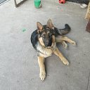 ���� Andrei, ������-��-���� - ��������� 22 ������� 2015 � ������ ���� ����������