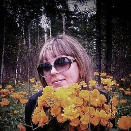 ���, �����������, 41 ���