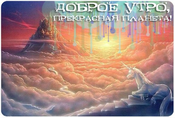 .....Приятных выходных,в кругу тех, кто дорог вашему сердцу...... .На земле есть, как минимум, 2 ...