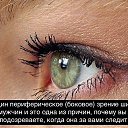 ���� ����, ����, 48 ��� - ��������� 17 ������� 2015 � ������ ������ ��������