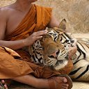 ���� �������, ������ - ��������� 3 ����� 2016 � ������ ���� ����������