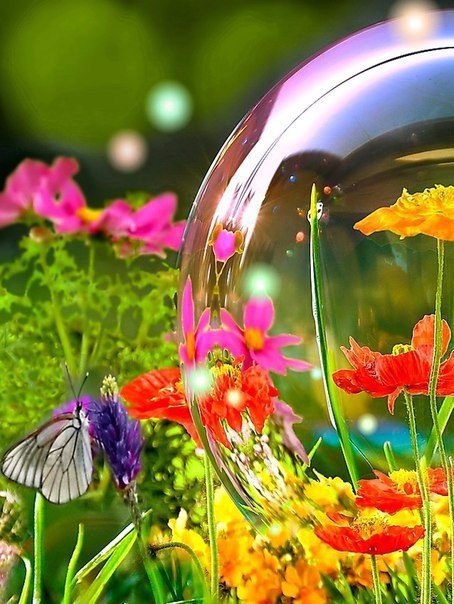 ����� ��� ���� �������� �������� ������� , ��� ������� ������!��������� � �������� ����)) - 3