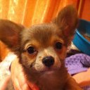 ���� ���������, �������, 54 ���� - ��������� 20 ������� 2016 � ������ ������ ��������