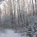 ���� �����, �������, 66 ��� - ��������� 8 ������ 2016 � ������ ���� ����������