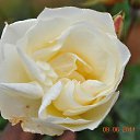 ���� Aru, �������� - ��������� 2 ������� 2015 � ������ �FLOWERS�