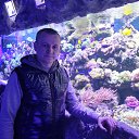 ���� �������, ����, 39 ��� - ��������� 4 ������� 2015 � ������ ���� ����������