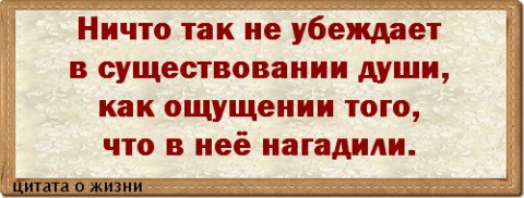   - 9  2016  01:54