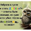 ���� �����, ����-��������� - ��������� 31 ������ 2016 � ������ ������ ��������