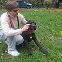 ���� �������, ���� - ��������� 30 ������ 2016 � ������ ���� ����������