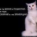 ���� ���� �����, ��������� - ��������� 21 ������ 2016 � ������ ������ ��������