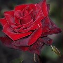 ���� Tanya, ����-���������, 59 ��� - ��������� 15 ������ 2015 � ������ ���� ����������