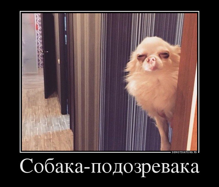 ���������� - 27 ������� 2015 � 09:21
