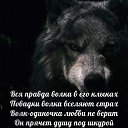 ���� �����, �����������, 46 ��� - ��������� 27 ������� 2015 � ������ ���� ����������