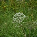 ���� ������, ������, 47 ��� - ��������� 31 ������� 2015 � ������ ���� ����������