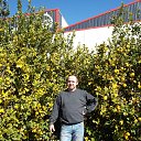 ������� 2012 �������� �� ������� ���