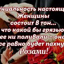 ���� �����, ������, 59 ��� - ��������� 4 ������ 2016 � ������ ������ ��������