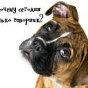 ���� ������;-), ��������, 49 ��� - ��������� 28 ������� 2015 � ������ �������� ��������