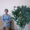 ���� �����, �����������, 44 ���� - ��������� 19 ������ 2015