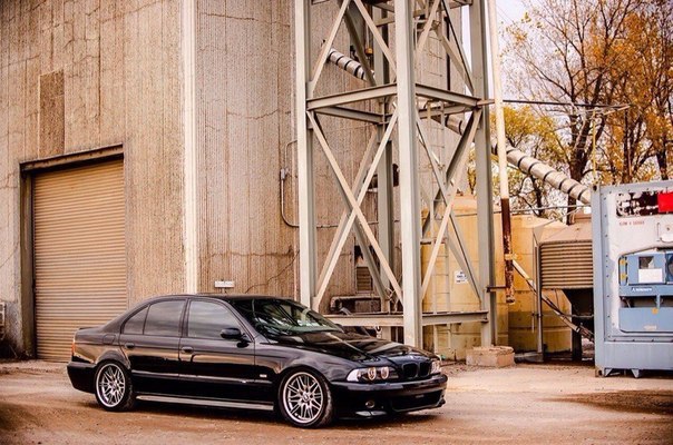  BMW      . BMW M5 (E39)    ! - 4