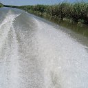 ����... �� ������� ���������� ����. 17.08.2015 ���. ����������