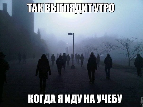     - 15  2015  02:40