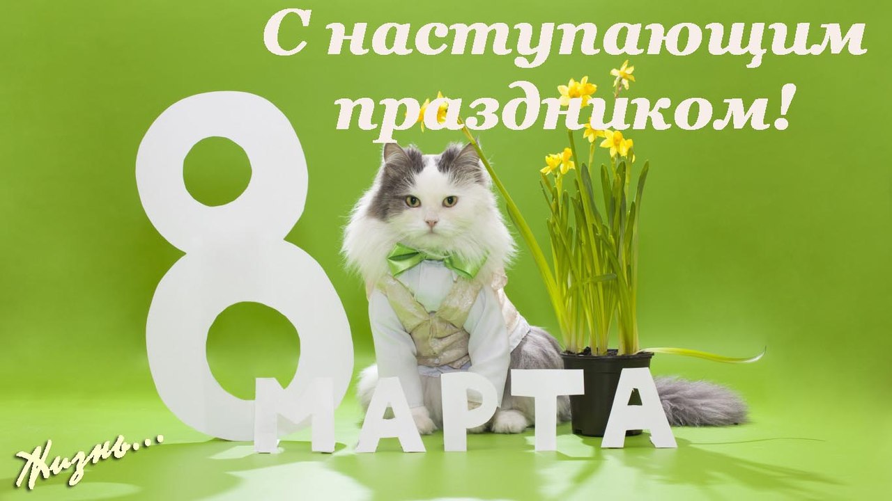  - 6  2016  08:07