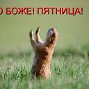���� ~Andrey~, �����-���������, 55 ��� - ��������� 23 ������� 2015 � ������ ������ ��������