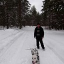 ���� �����, ��������, 54 ���� - ��������� 1 ������� 2015 � ������ ���� ����������