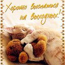 ���� Bakixan, ���������� - ��������� 15 ������ 2015 � ������ �������� ��������